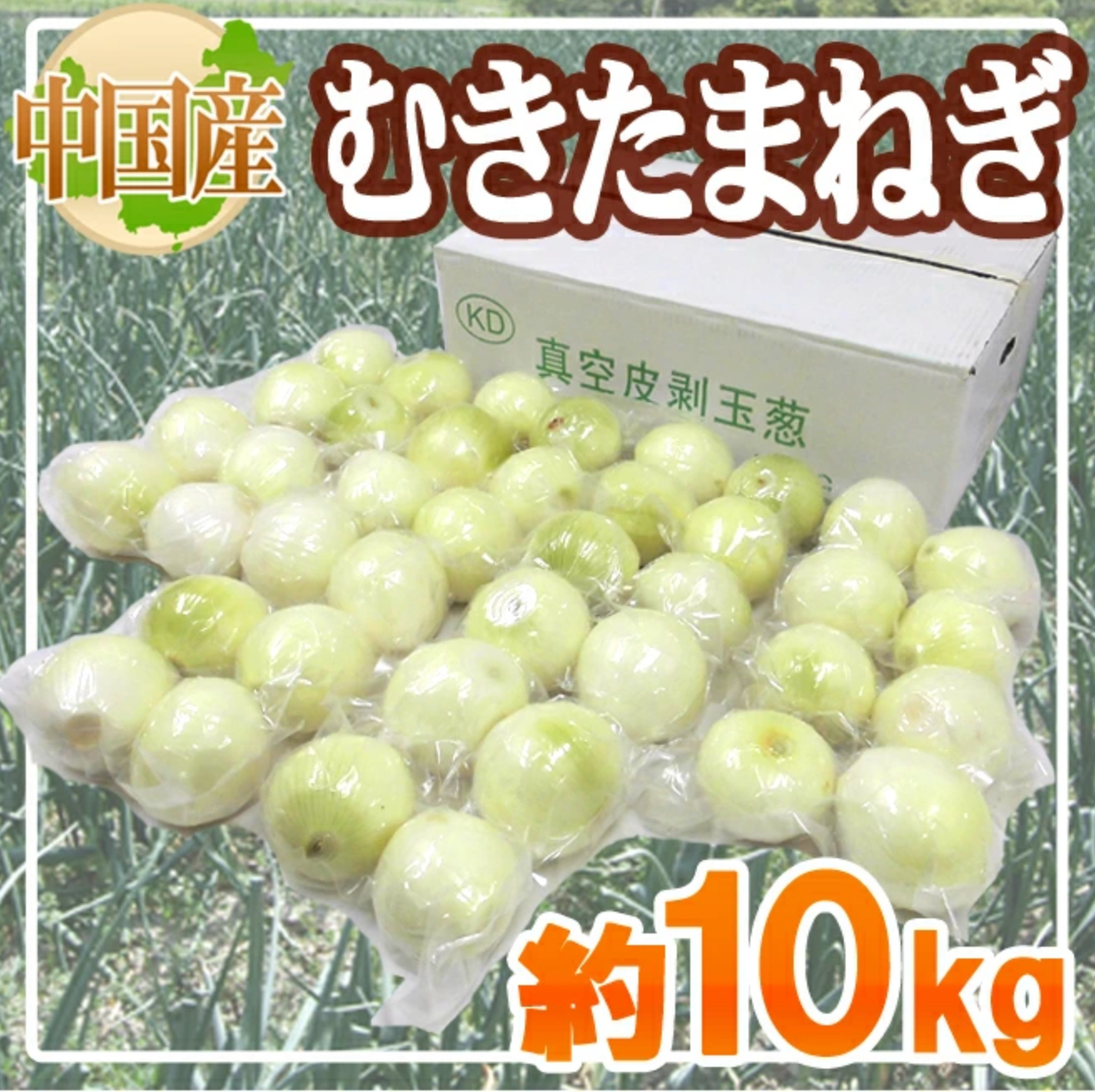 真空パック ”中国産 剥きたまねぎ” 約10kg 大きさおまかせ